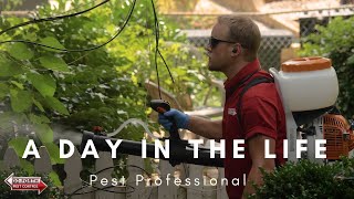 A Day In The Life: Pest Professional