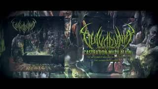 VULVODYNIA - Castration Mutilation /2016/ Lacerated Enemy Records