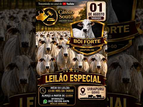 LEILÃO ESPECIAL BOI FORTE LEILOES UIRAPURU-GO 01/08/2026