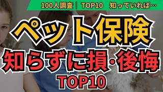 ペット保険 後悔TOP10｜損しない選び方を100人調査