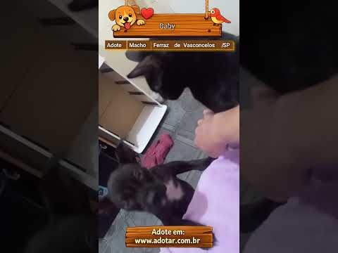 Vídeo de Baby 