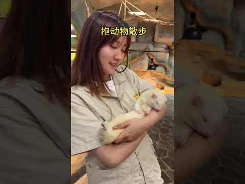Zoo Day: My Experience as a Zookeeper with Right or Wrong Cards