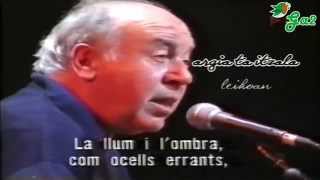 Hegazti errariak (MIKEL LABOA)