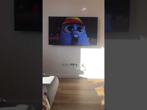 Happy Birthday Lemming 🥳