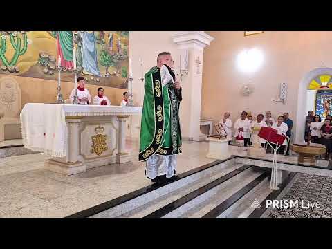 Transmissão ao vivo de Paróquia Nossa Senhora  Conceição de Pedro II-PI