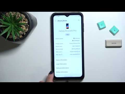 How to Open Developer Options on SAMSUNG Galaxy Xcover 6 Pro