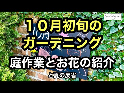 園芸 ケラ、ヌーカ、アミの顔