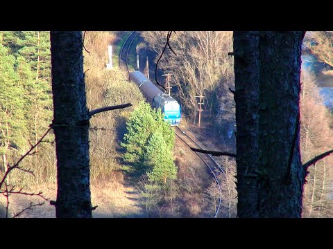 Trains in Muntii Apuseni Mountains-Crișului Canyon-31.03.2021-România