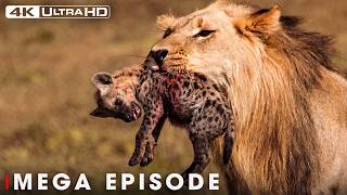 Lion's Deadliest MEGA EPISODE | No Mercy in the Wild | Wildlife Documentary
