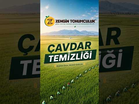 Zengin Tarım - Çavdar Temizliği