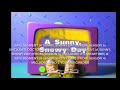Says Segment A Sunny Snowy Day Customs On Jan 31 2019