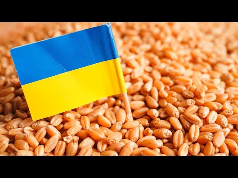 , title : 'Agriculture : Les importations ukrainiennes mettent-elles le secteur en difficulté ?'