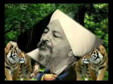 Rakkhi Charna De Kol   Bhai Harbans Singh Ji Jagadhri Wale mpeg4