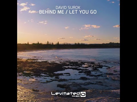 David Surok Let You Go So You Can Feel Positive Emotions