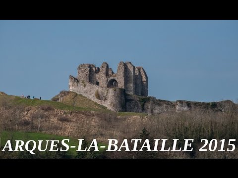 Arques-la-Bataille 2015 CaniVTT/Canicross/Canimarche