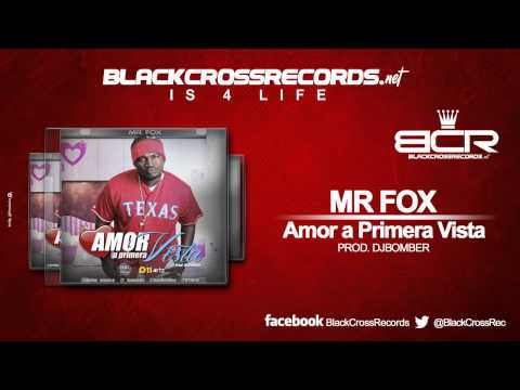 Mr Fox - Amor a Primera Vista