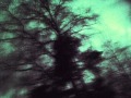 Agnès - Things Recur