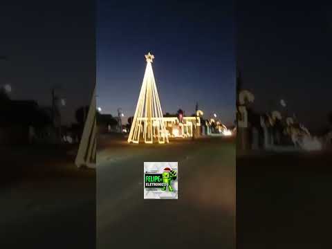 veja arvore de Natal cacimba de dentro