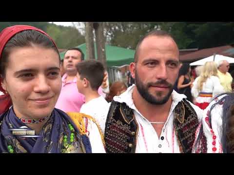 Sărbătoarea plăcintelor la Căsoaia | Pulsul zilei