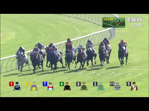 28/11/2021 (209) California Concord - Vincent Ho