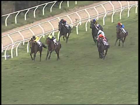 Galoppo 27/02/2015 - 2° corsa