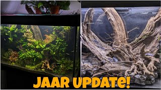 1 JAAR AQUASCAPE: 5 LESSEN van het AQUARIUM! //Nickey//