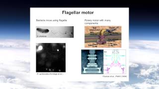 Michael Woodside Nanotechnology Part II Fall 2013