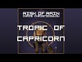 Chris Christodoulou - Tropic of Capricorn | Risk of Rain (2013)