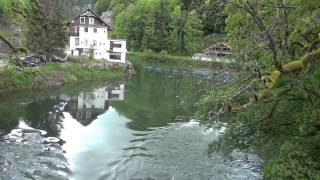 Sittenzerfall: Gleichgeschlechtliche Heirat, Adoptivkinder, Sodomitenverschwörung & Illegale Grenze