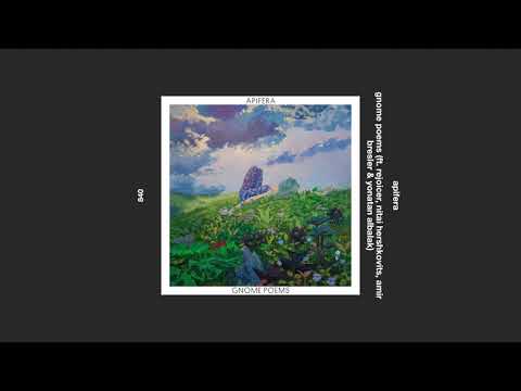 apifera _ gnome poems (ft. rejoicer, nitai hershkovits, amir bresler & yonatan albalak)