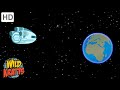 Wild Kratts In Space Zero Gravity And The Indestructible Tardigrade Wild Kratts