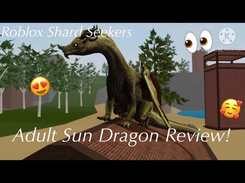 Roblox Shard Seekers - ADULT SUN DRAGON REVIEW!