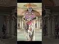 NTR As Lord Krishna