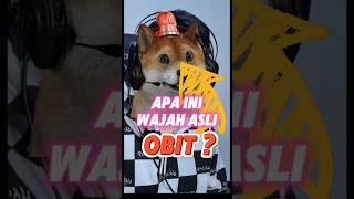 Download lagu This is the real face of OBIT the Cute Dog mp3