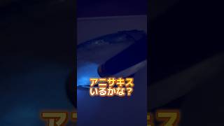 ヒラソウダが釣れたよ!捌いてみた #ゆうチャンネル #宮崎釣り #料理