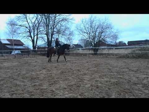 Ensimmäiset hypyt Lyytin kanssa/31.12.13