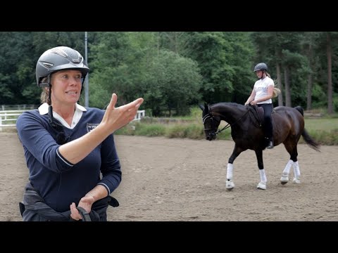 Massive Taktstörungen in 3 Tagen beheben? Kann Cataleya überhaupt wieder geritten werden?