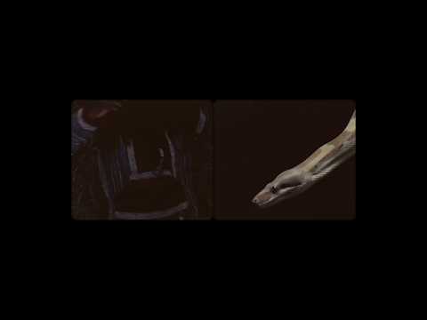 High Nelson - Fly on the Wall (Prod. BeatzbyDB)