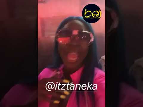 Spice - Shaggy - Agent Sasco & more @ Kemar Highcon album launch 🔥