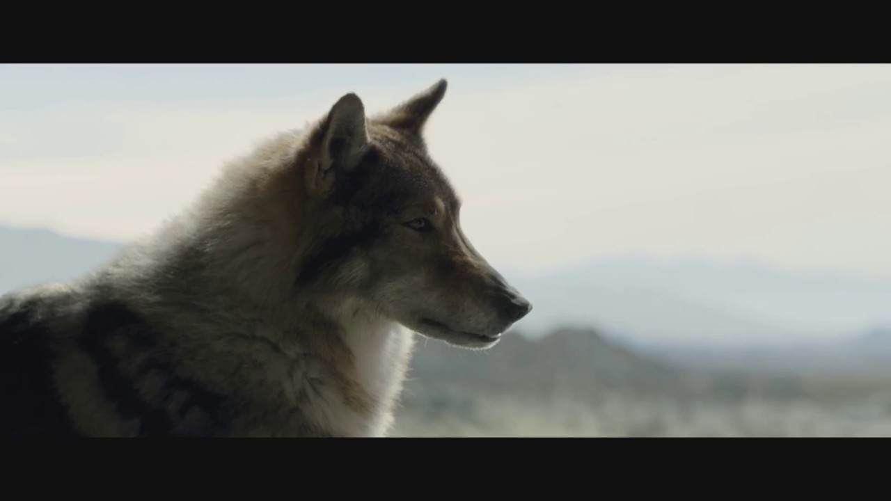 ALPHA - Filmclip deutsch "Friedensangebot" | Ab 7.9.2018 nur im Kino