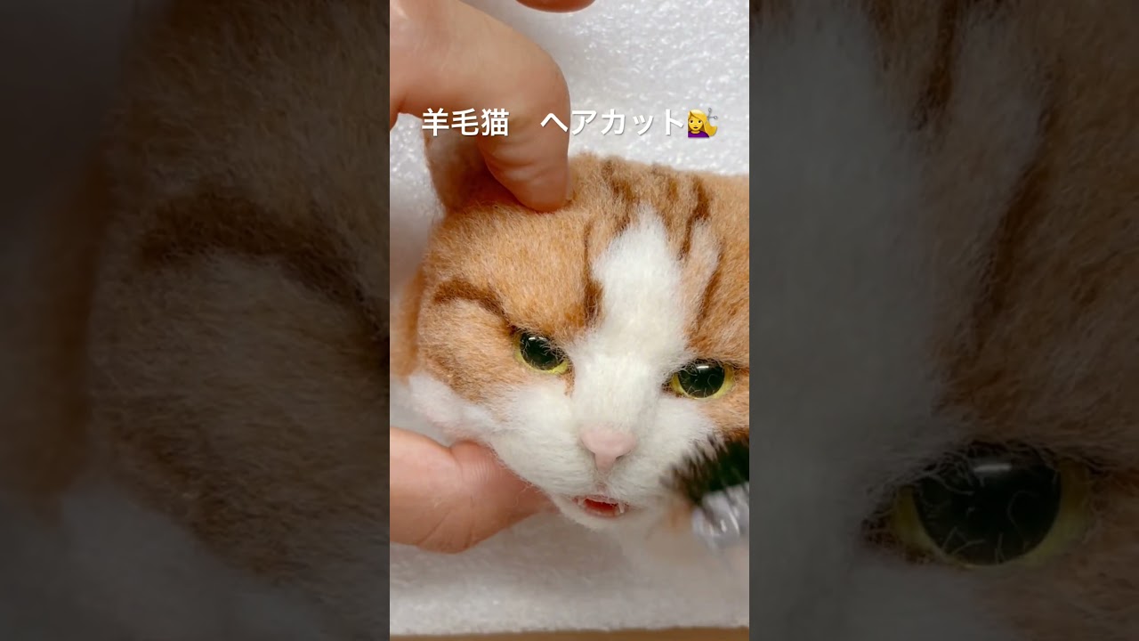 【羊毛フェルト猫】ヘアカット💇‍♀️