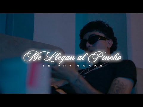 Trippy Snake - me llegan al pincho (Live Session)