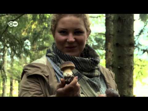 Series: Extratour - Oulu, Finland | Euromaxx