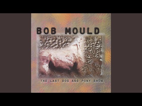 Reflecting Pool - Bob Mould