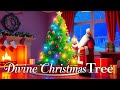 Miracle Christmas Tree Divine Christmas Tree