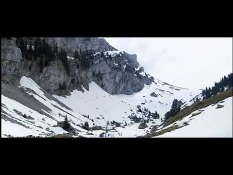 Carthusian monks glissading down the mountain [Into Great Silence 2005]