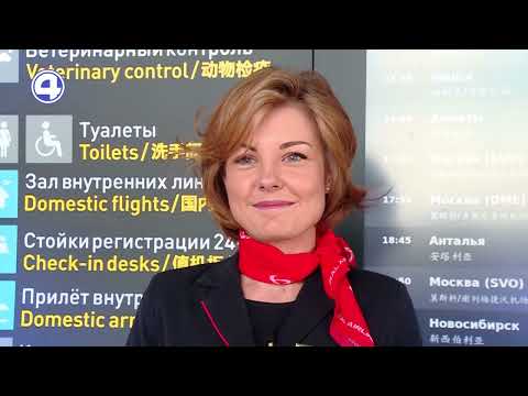 7 вопросов бортпроводнику: будни стюардессы, секреты на борту и нюансы работы
