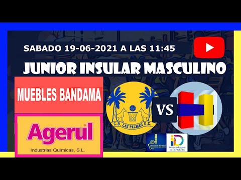 Junior Teresiano Club Baloncesto Las Palmas - CD Heidelberg