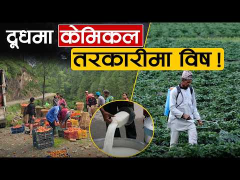 आज विषादी छर्कियो, भोलि नै बजारमा– स्वदेशकै तरकारीमा ८२% सम्म विष !