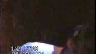 The Lawrence Arms - The March of the Elephants